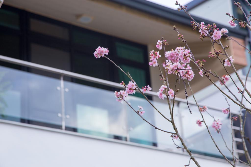 Roaming Cloud Sun Moon Lake B&B Yuchi Exteriör bild